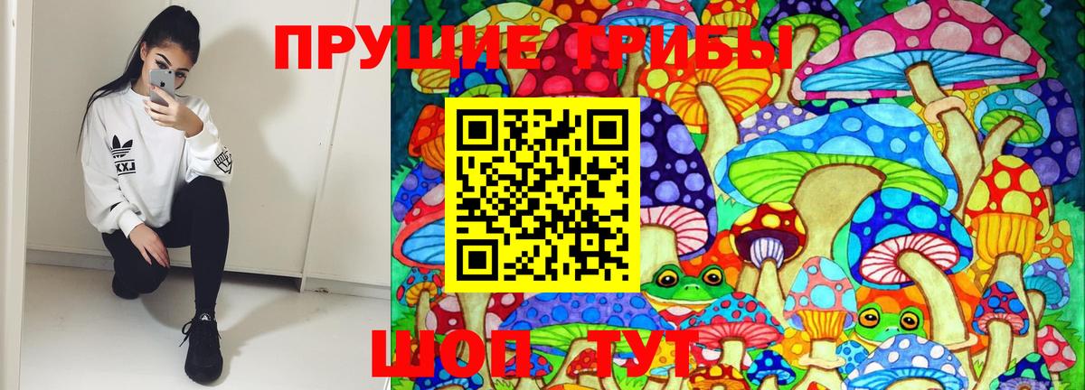 Галлюциногенные грибы Psilocybe Красноперекопск
