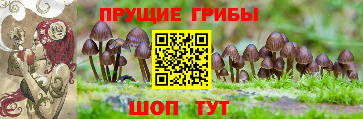 Красноперекопск  Псилоцибиновые грибы мухоморы  Вход с VPN 